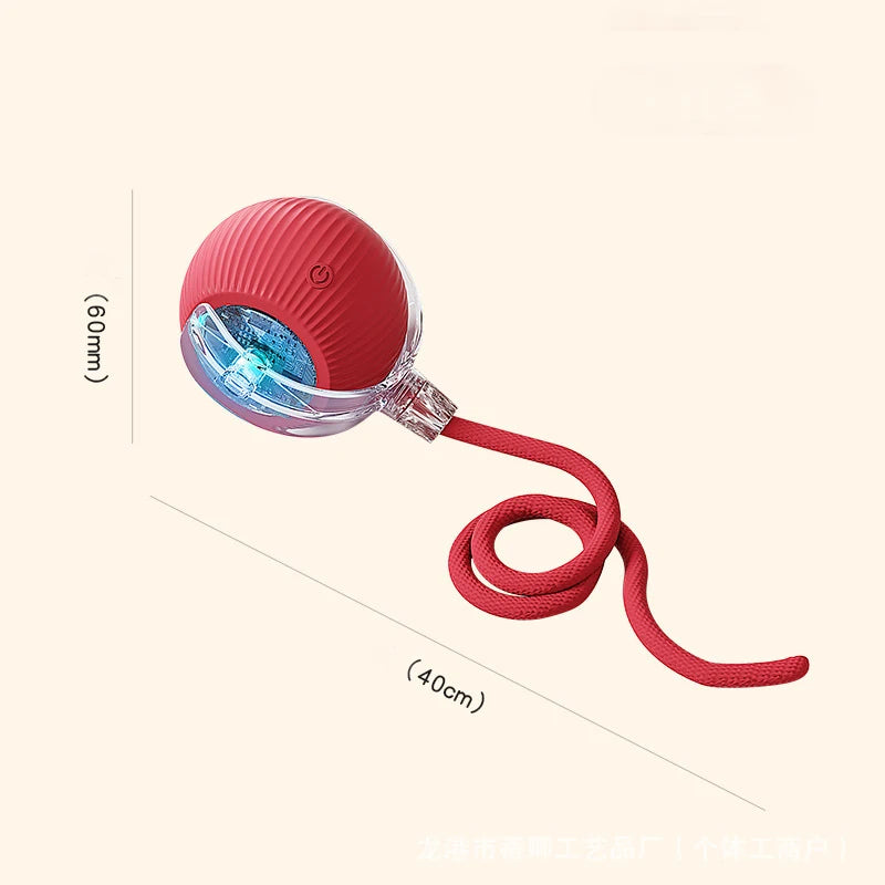 Cat Interactive Ball Toys