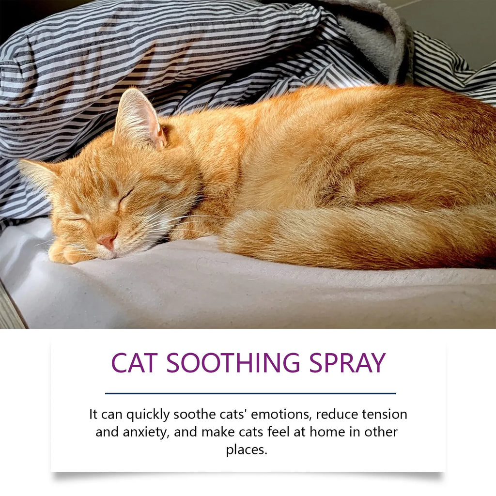 60ml Pet Calming Spray for Cats