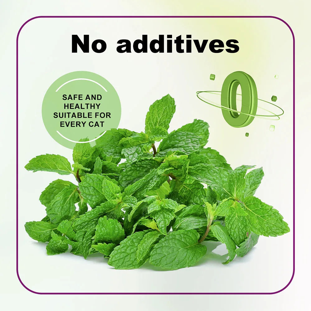 Organic Catnip Safe Premium Blend