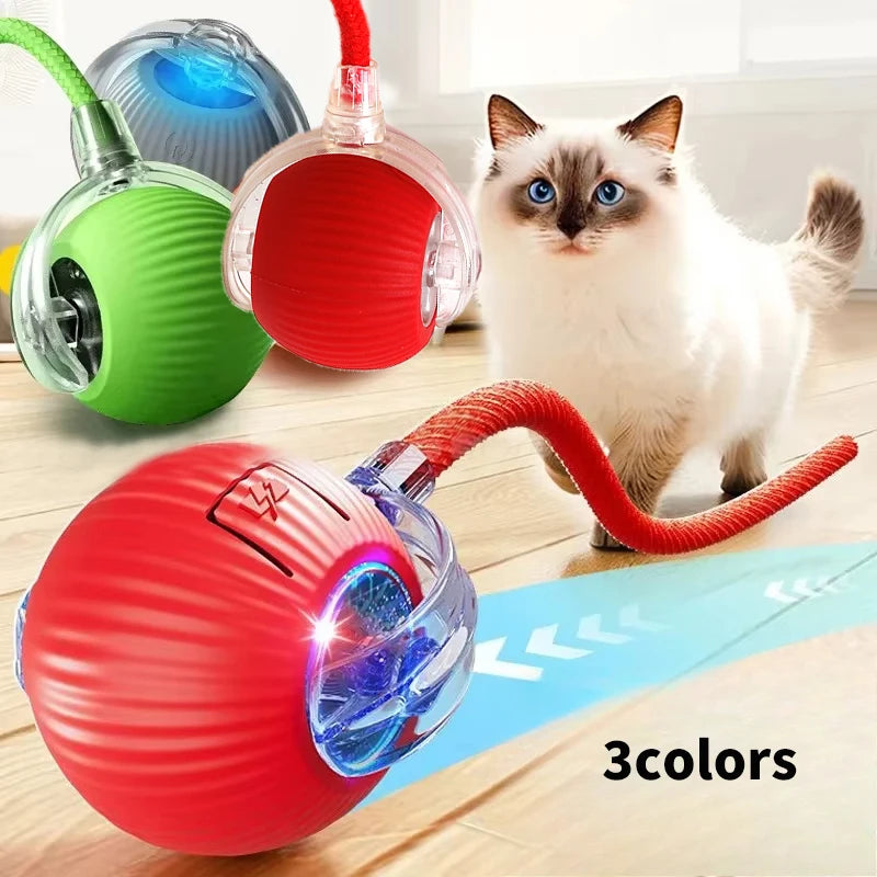 Cat Interactive Ball Toys