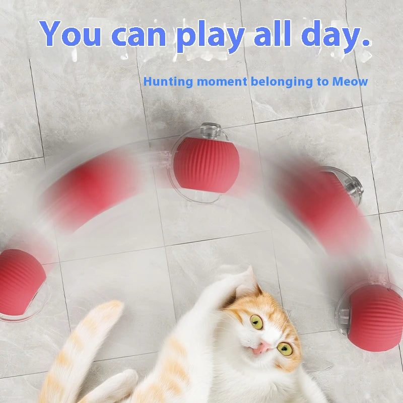 Cat Interactive Ball Toys