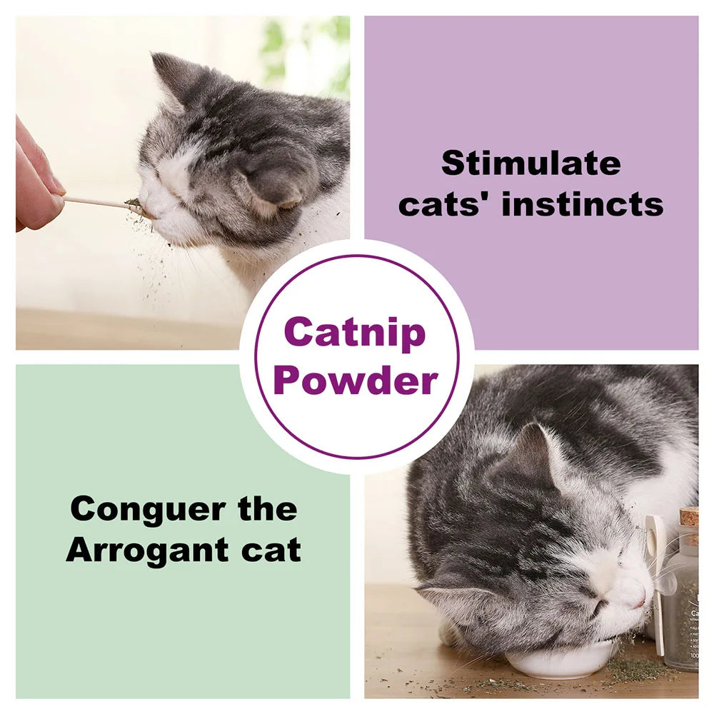 Organic Catnip Safe Premium Blend