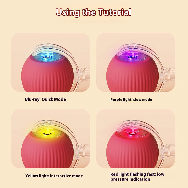Cat Interactive Ball Toys