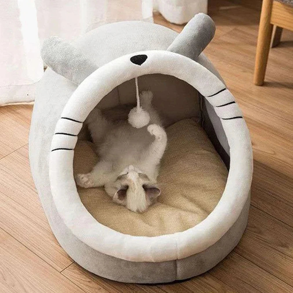 Cute Cartoon Cat Cave