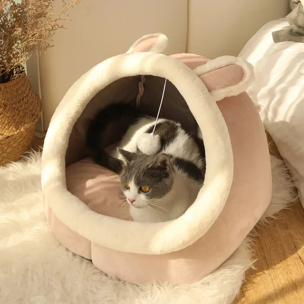 Cute Cartoon Cat Cave