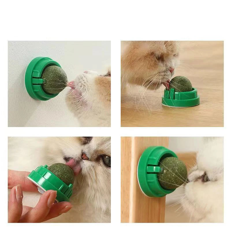 Catnip Cat Wall Stick-on Ball Toy