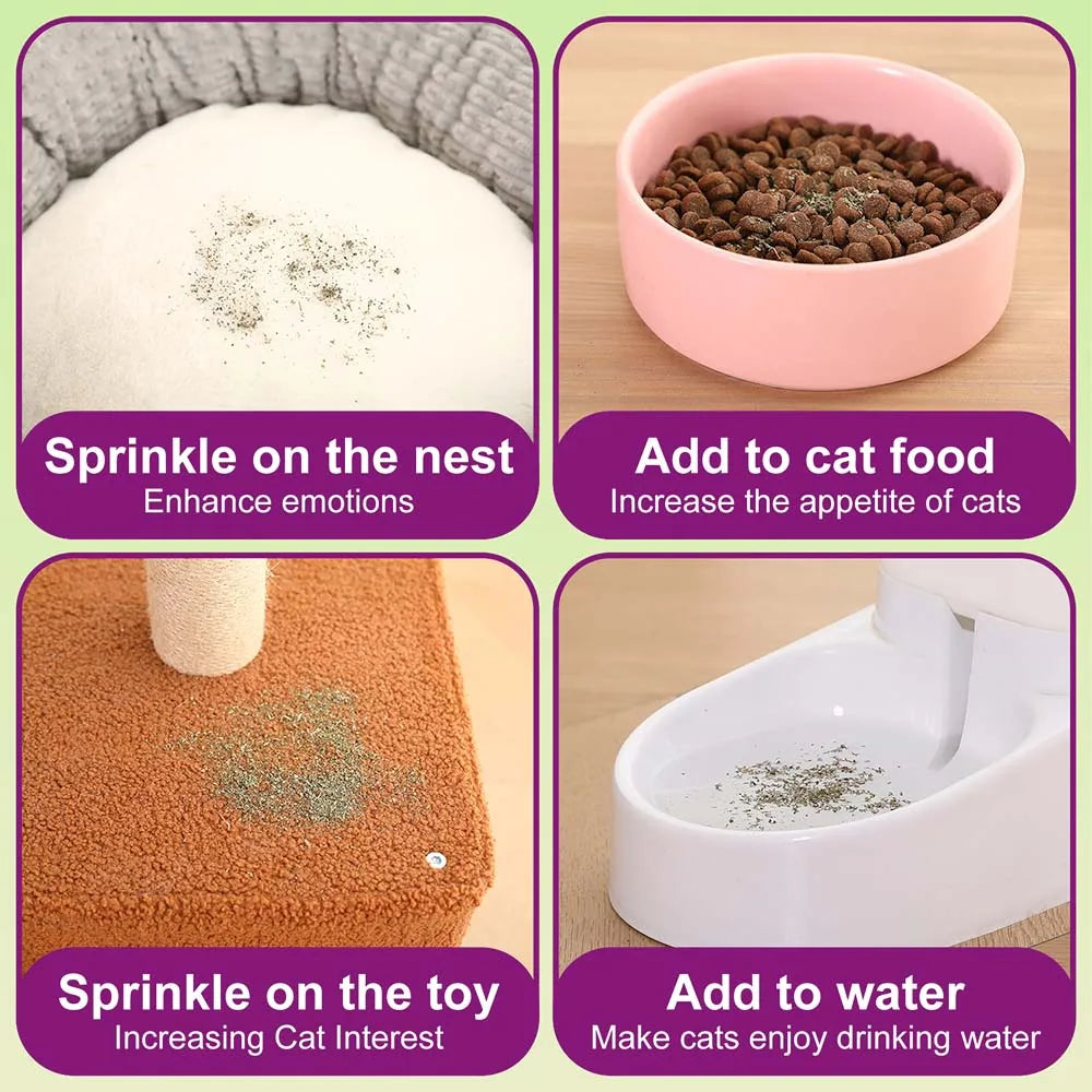 Organic Catnip Safe Premium Blend