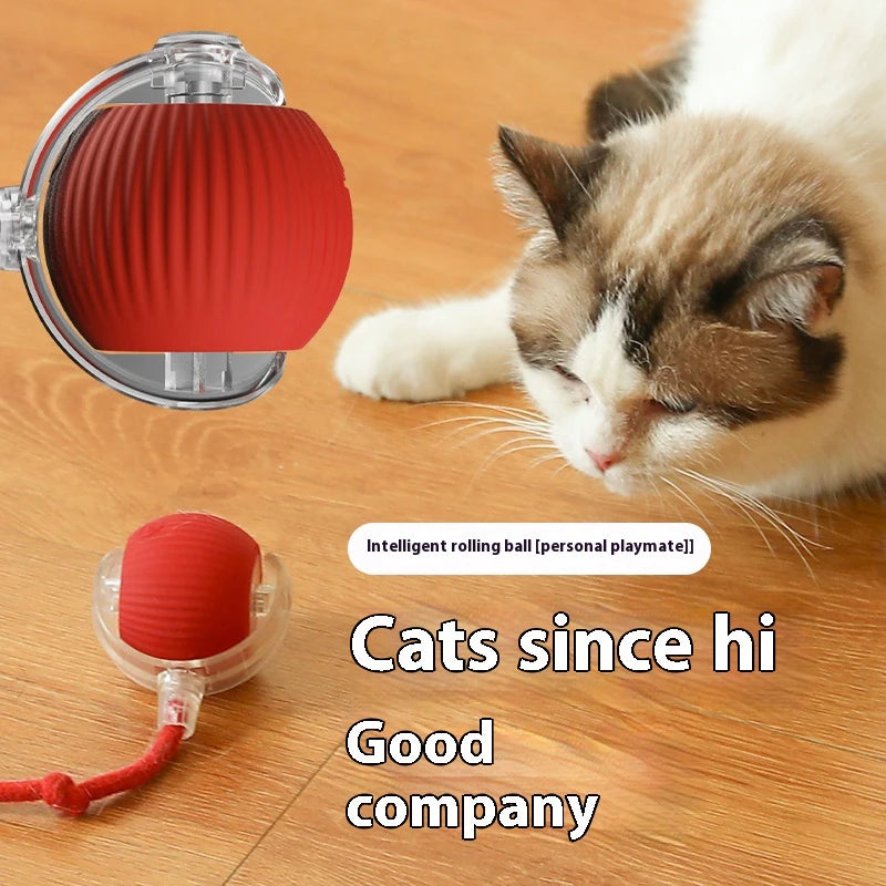 Cat Interactive Ball Toys