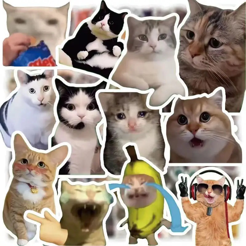 100 Cat stickers cute funny cat ins style emoticon pack picture material handbook stickers children's stickers holiday gift
