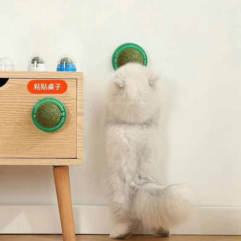 Catnip Cat Wall Stick-on Ball Toy
