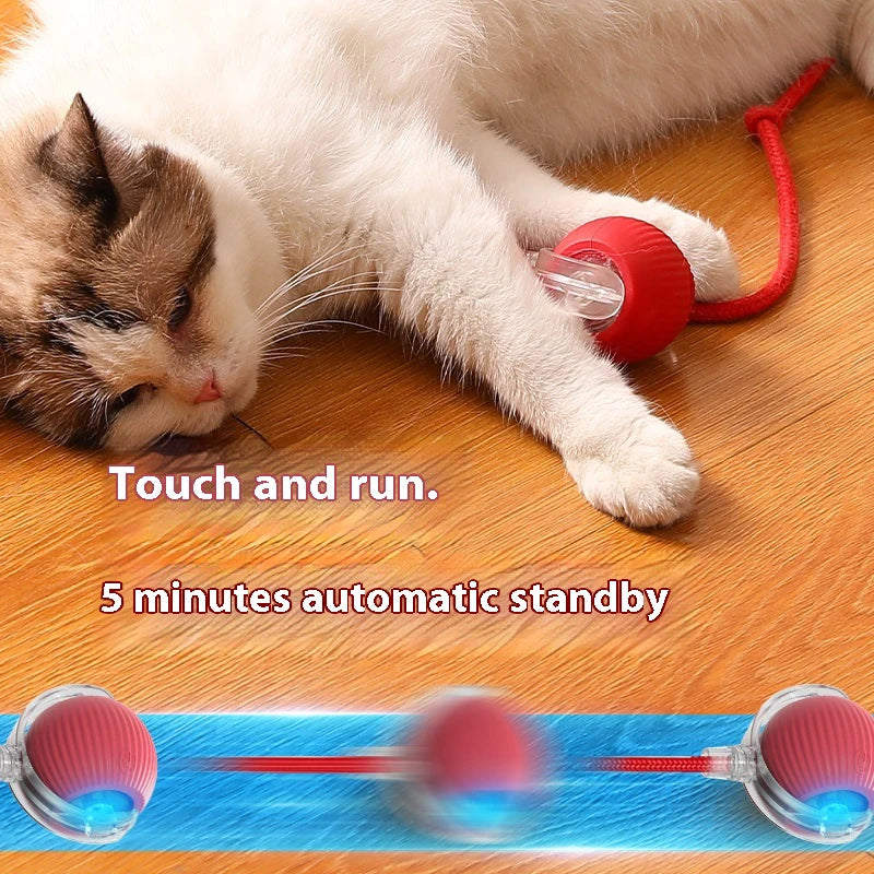 Cat Interactive Ball Toys