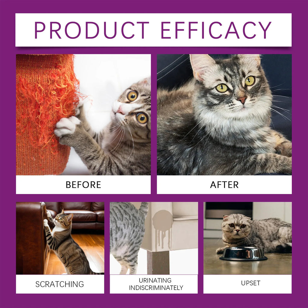 60ml Pet Calming Spray for Cats