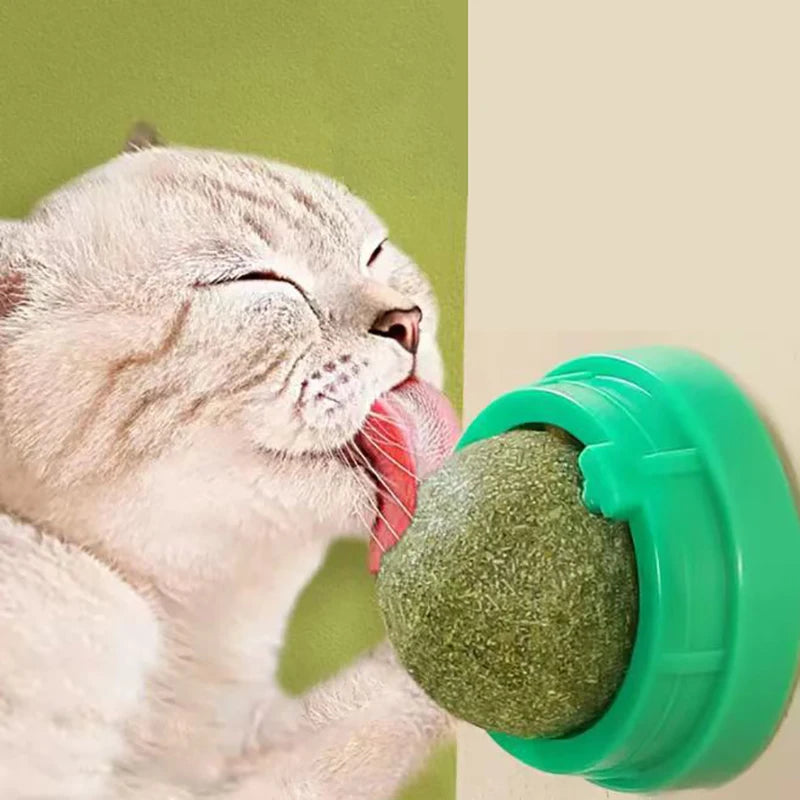 Catnip Cat Wall Stick-on Ball Toy