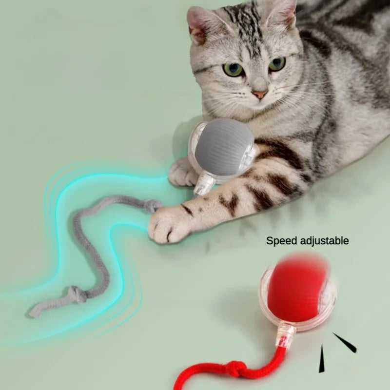 Cat Interactive Ball Toys