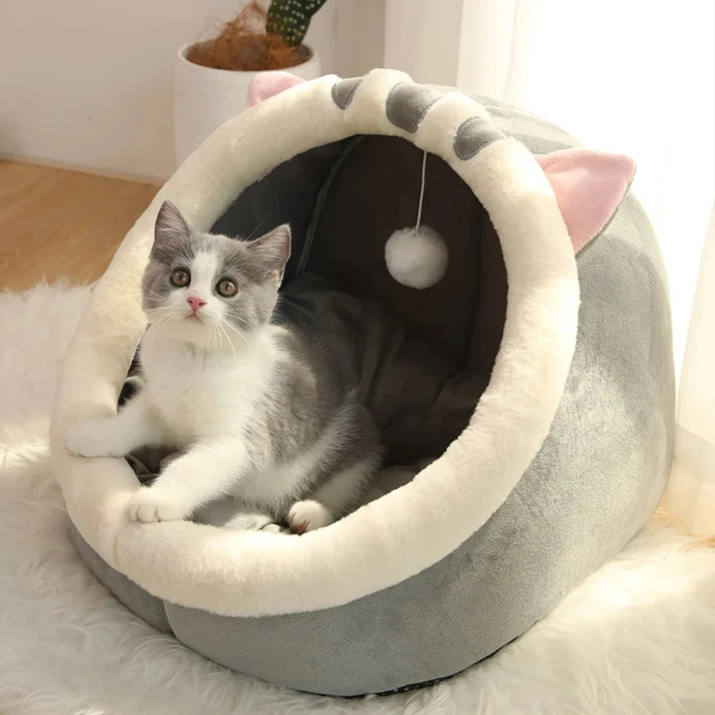 Cute Cartoon Cat Cave